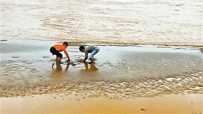 00300180259_d50cb0ff