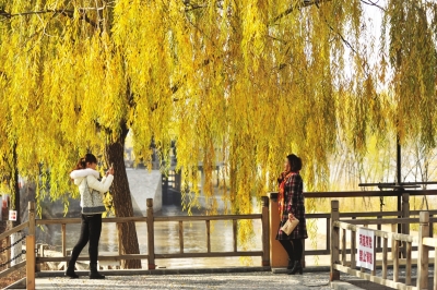 00300204124_f0865eb0