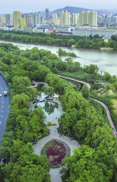 00300204125_c6f7f654