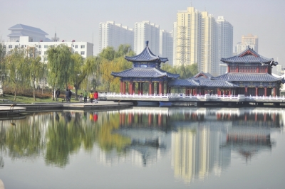 00300204126_33adb134