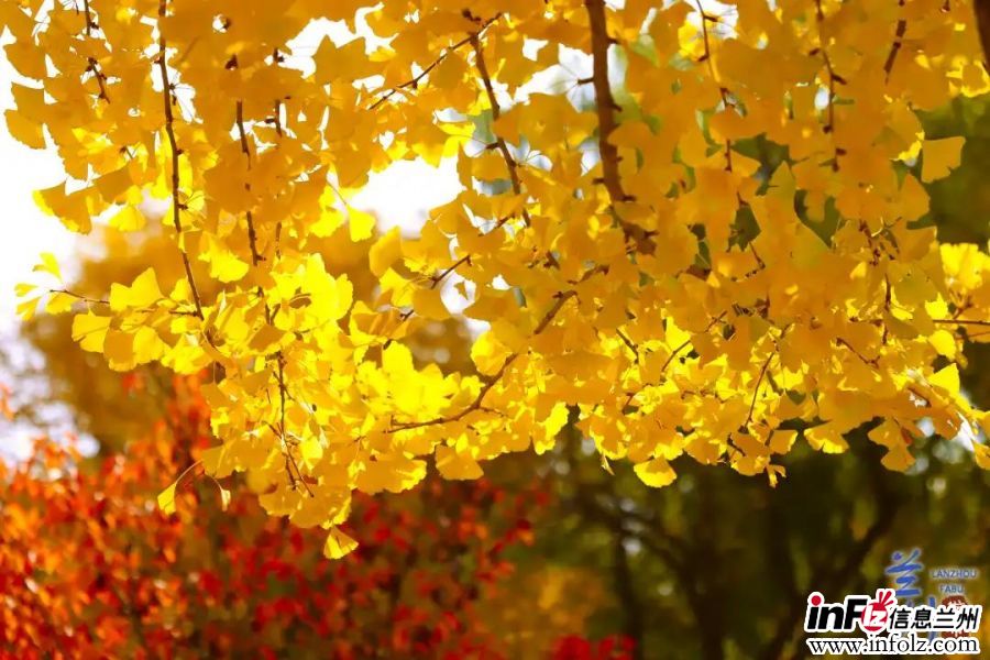 微信图片_20211117160512