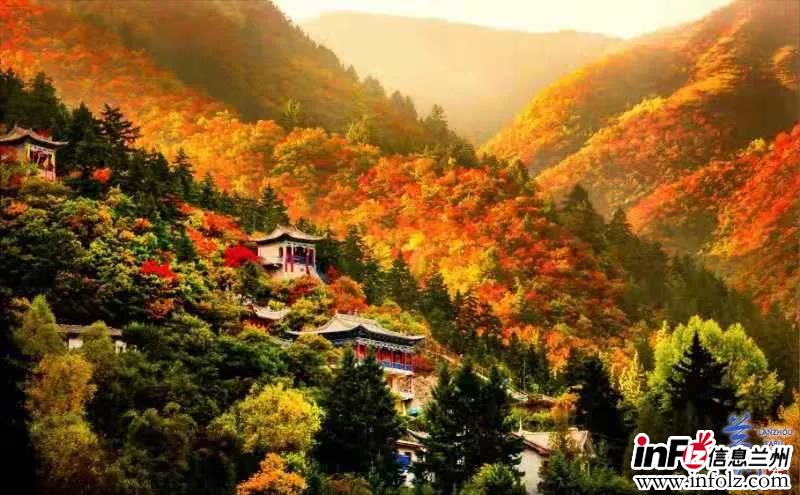 微信图片_20211117160523