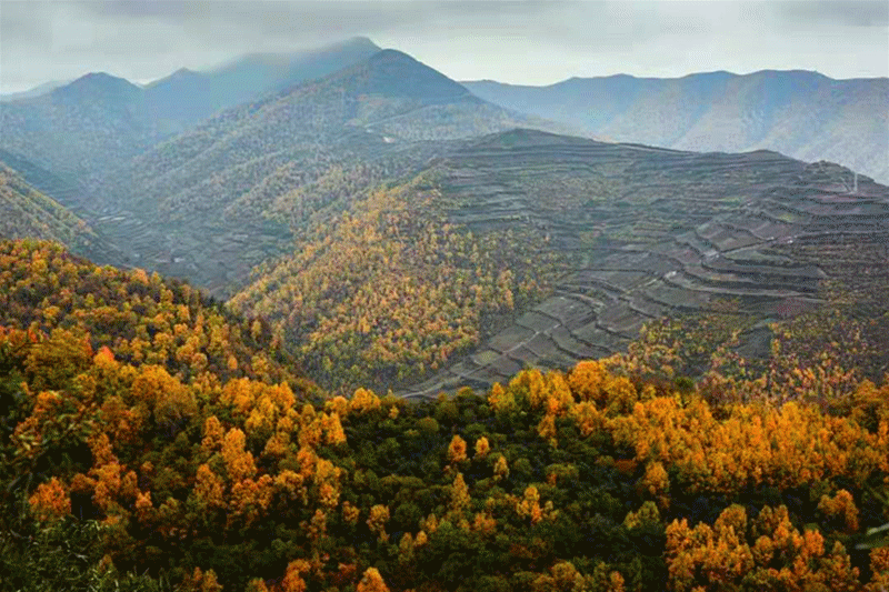 微信图片_20211117160519