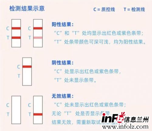 兰州抗原检测试剂操作步骤