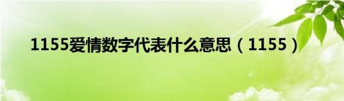 1155爱情数字代表什么意思（1155）