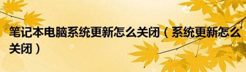 笔记本电脑系统更新怎么关闭（系统更新怎么关闭）