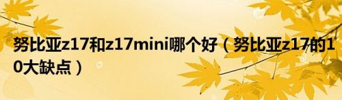 努比亚z17和z17mini哪个好（努比亚z17的10大缺点）