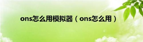 ons怎么用模拟器（ons怎么用）