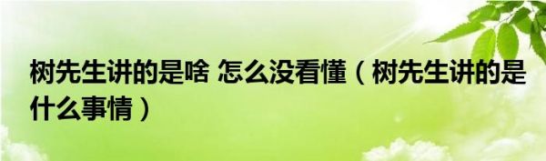 树先生讲的是啥 怎么没看懂（树先生讲的是什么事情）