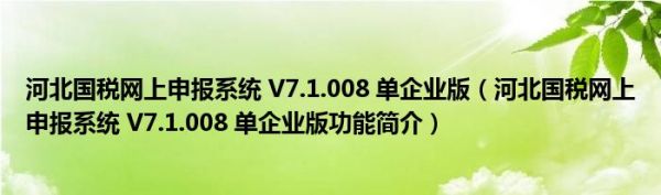 河北国税网上申报系统 V7.1.008 单企业版（河北国税网上申报系统 V7.1.008 单企业版功能简介）