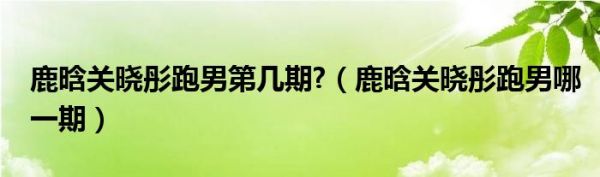 鹿晗关晓彤跑男第几期?（鹿晗关晓彤跑男哪一期）