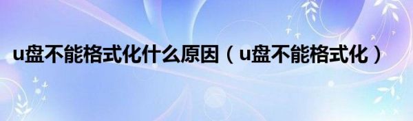 u盘不能格式化什么原因（u盘不能格式化）