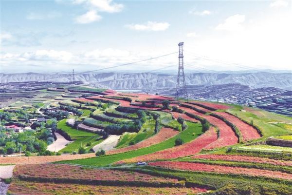 19c11f00-f079-47d2-8ca6-68b564c5ffa6