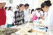 兰州市中医医院首届中医药文化节启幕