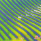 【视觉·影像】黄河岸畔产业兴